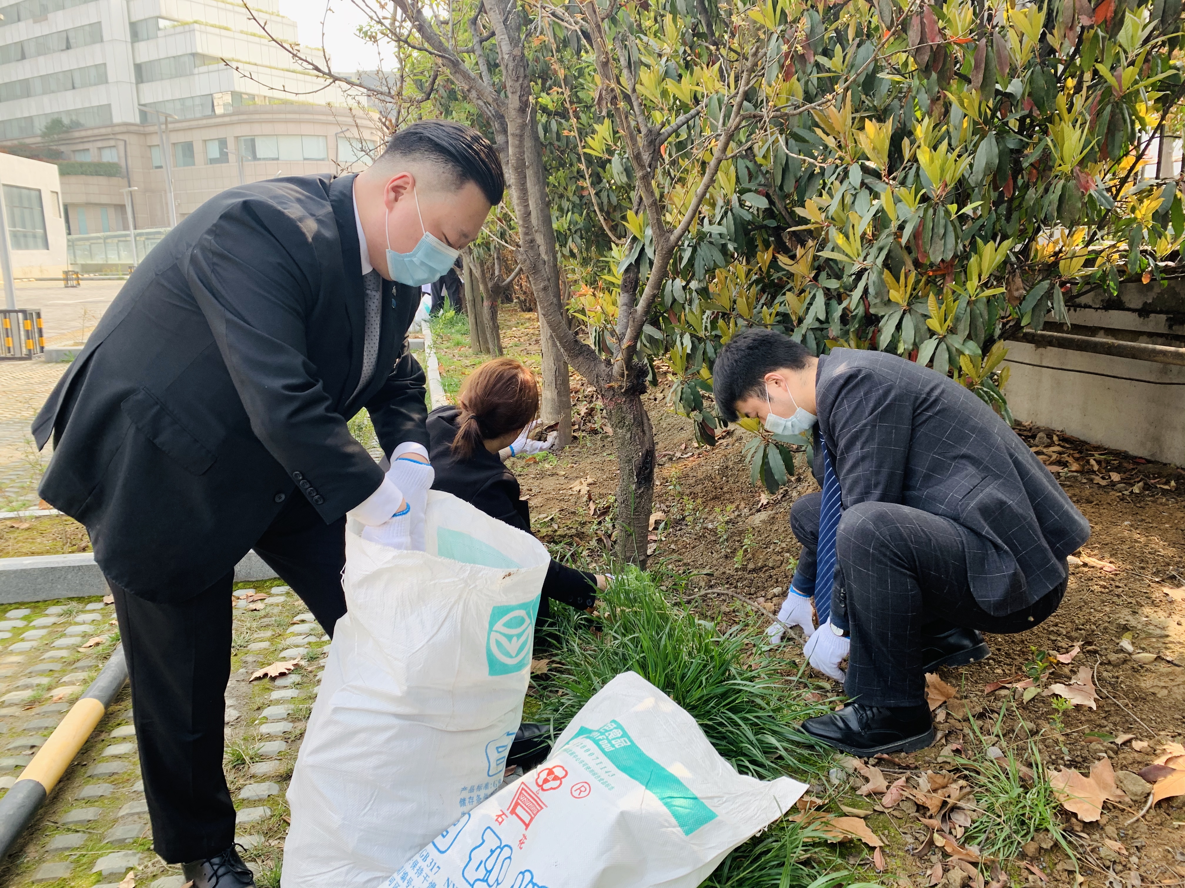 人民大廈組織開展 “我為大廈添新衣”植樹節(jié)活動